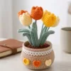 orange yellow tulip pot ornament display view