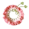 pink clover pet scarf hanging display