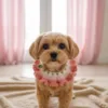 pink clover pet scarf lifestyle scene