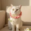 pink clover pet scarf main image