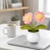 pink double flower pot decoration lifestyle scene