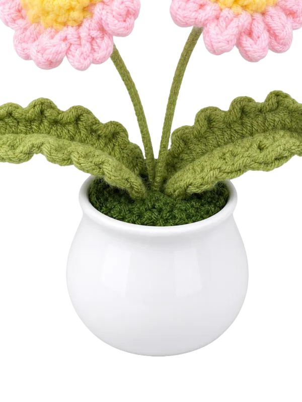 pink double flower pot decoration styled view