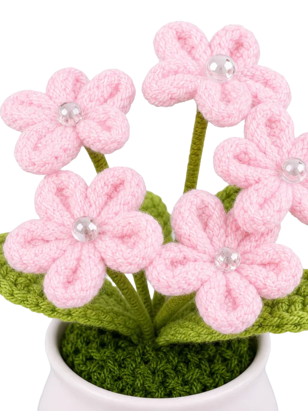 pink flower white pot ornament display view