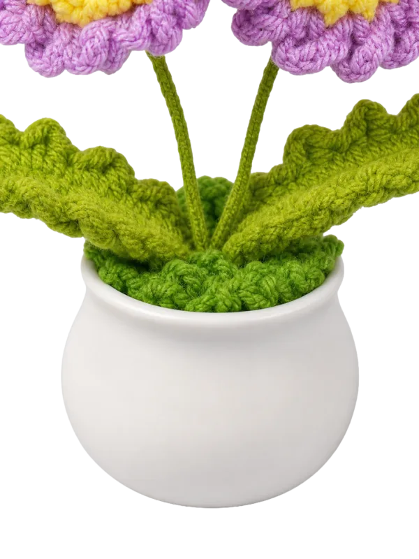 purple double flower pot decoration styled view