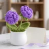 purple flower white pot ornament display view